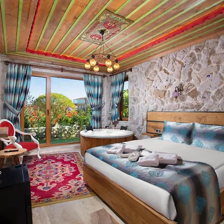 Cappadocia Fiesta Stone House *